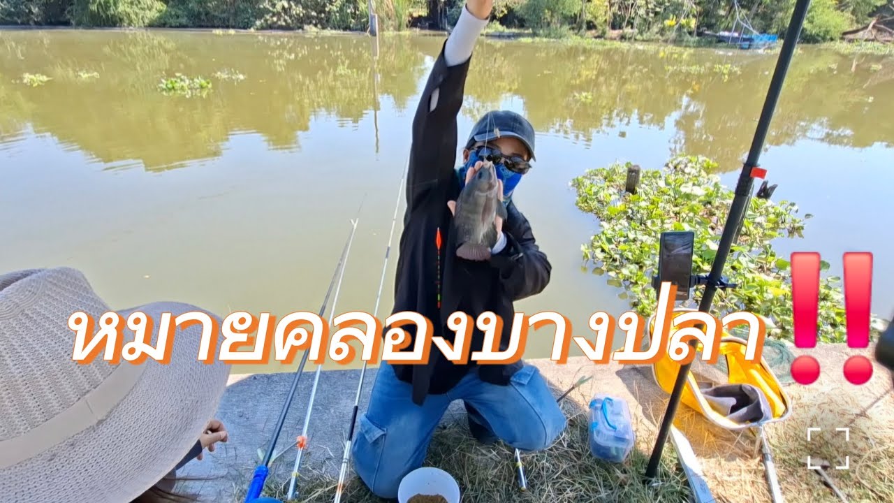 Ep37 วันหยุดออกหมายคลองบางปลา‼️ปลานิลไซส์สวยๆ🔥🔥#หมายธรรมชาติ #ผู้หญิงตกปลา #ตกปลาชิงหลิว 