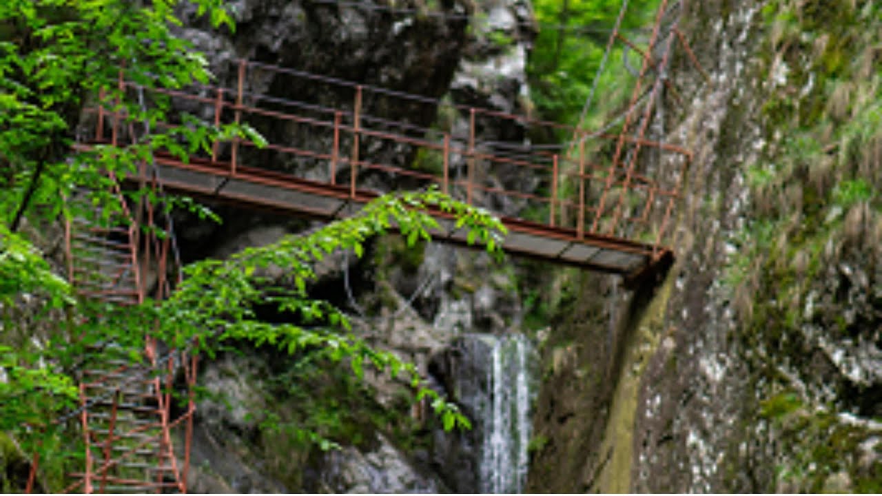 Valea lui Stan 19.05.2024 Drumetie in canionul din Arges