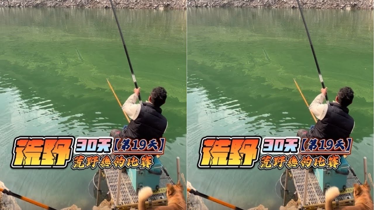 挑战荒野钓鱼巅峰赛30天赢大奖第19天，鱼情相当暴躁，直接连杆爆护！