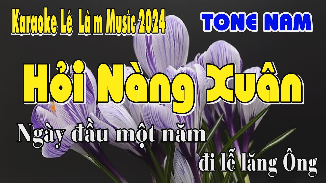 Karaoke Hỏi Nàng Xuân Tone Nam  - Lê Lâm Music