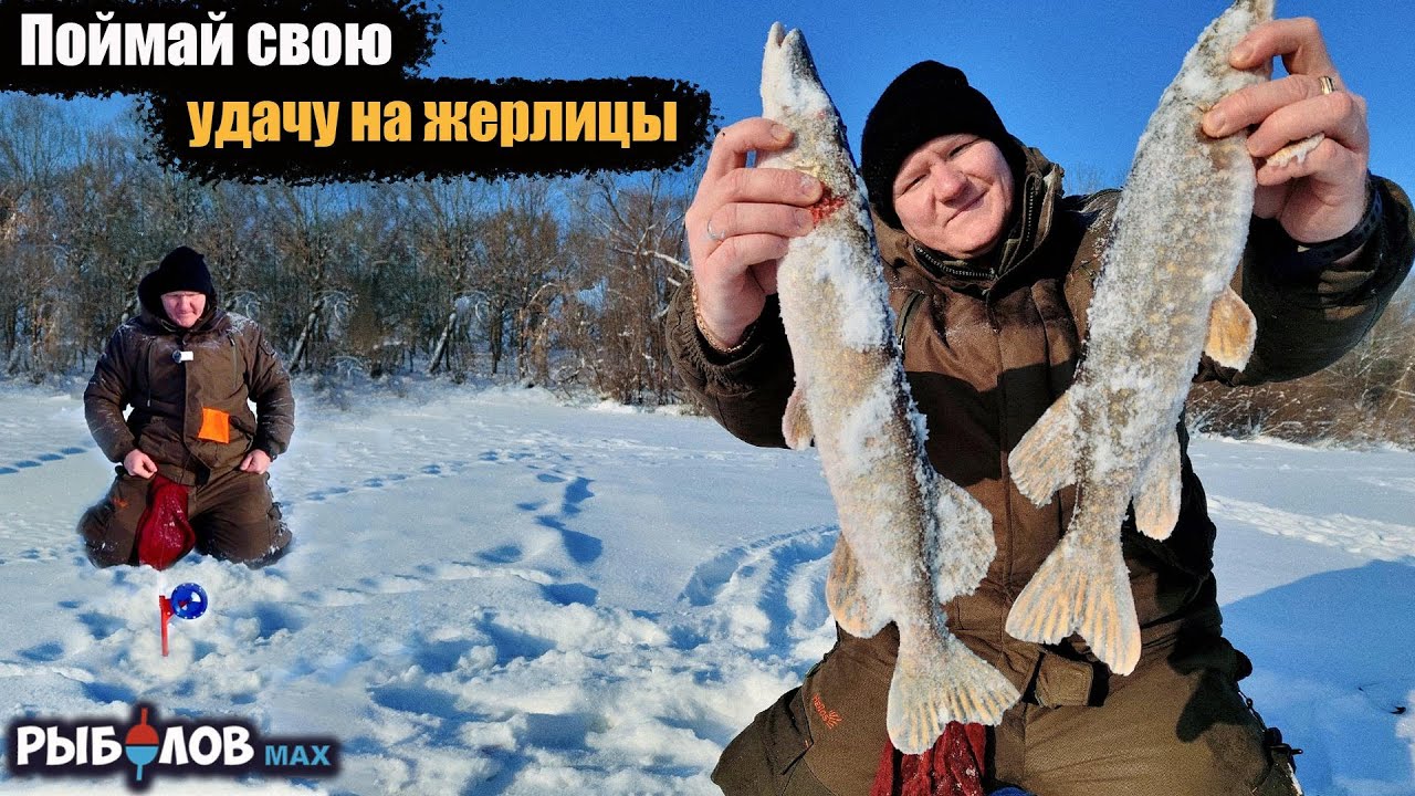 Зимняя щука 2026: лучшие места и снасти. Щука зимой: где, как и на что ловить — практический разбор