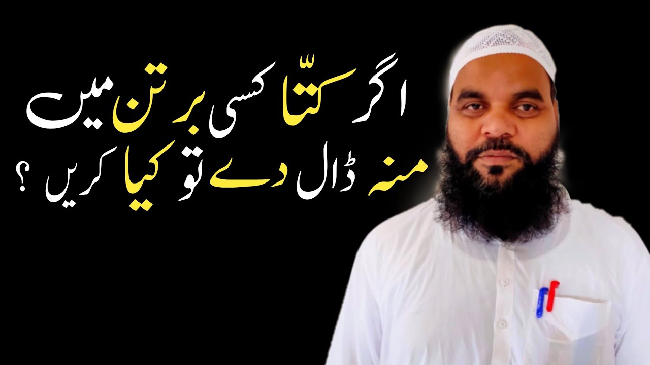 kutta agar bartan me muh dal de to iska kya hukm hai कुत्ता अगर बर्तन में मुंह डाल दे moulana owais