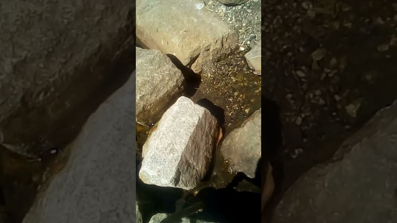 exploring random things