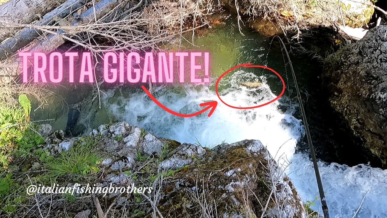 IL MOSTRO DELLA VALLE - Incredibile avventura in un torrente di montagna.