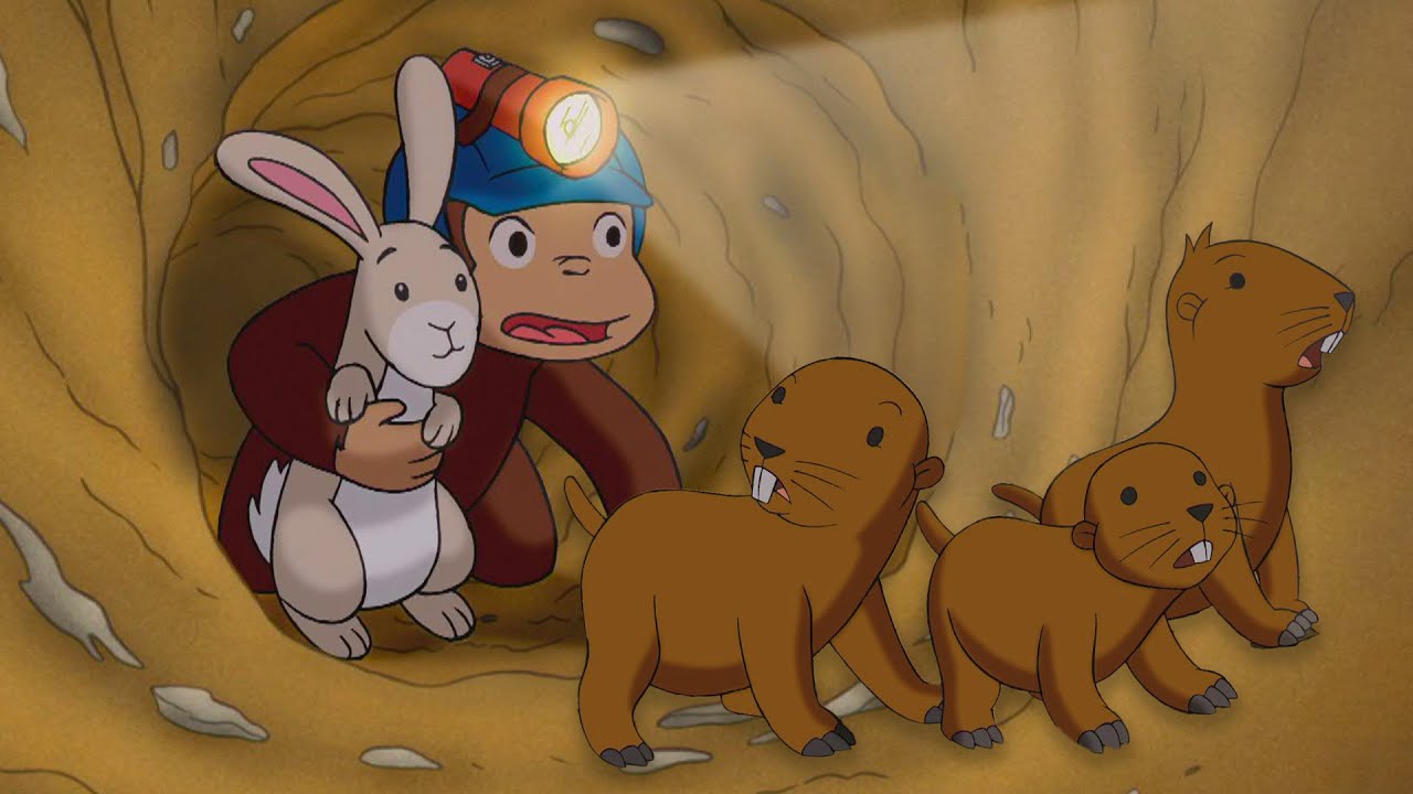 Le avventure di George con la marmotta 🐵 Curioso Come George 🐵 Cartoni per Bambini