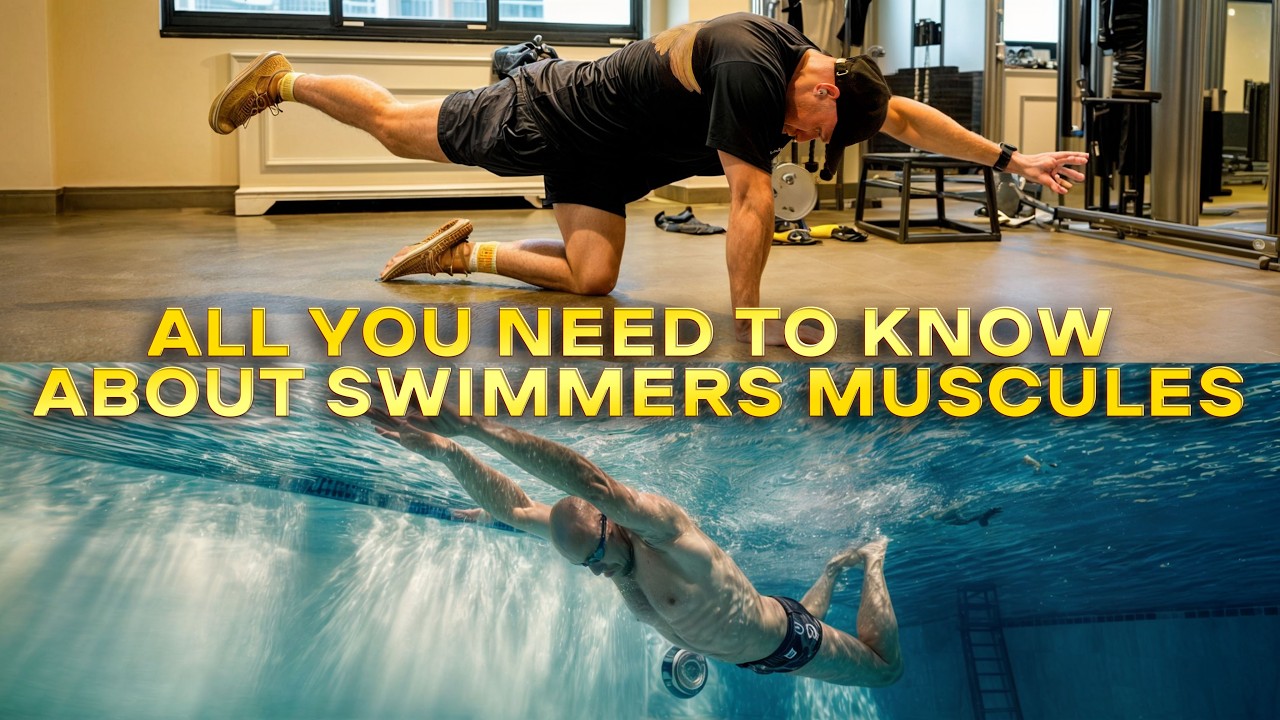 What Muscles Does Swimming Work? Swimmers Body Explained.
