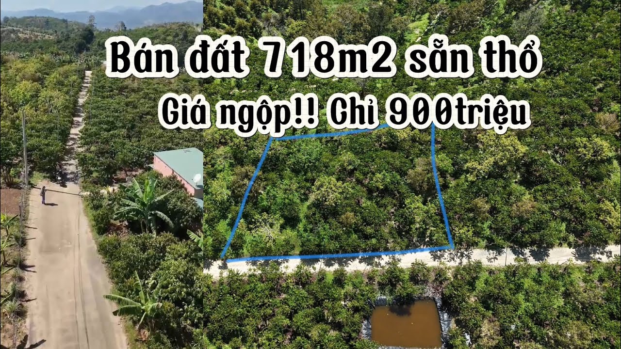 Bán đất 32x24m tổng 718m2|| Sẵn thổ cư, view thoáng đẹp|| Giá ngộp 