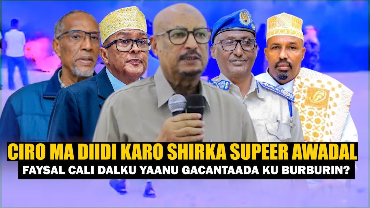 Xog Cirro Dalku Gacantada Haku Burburin Muuse Biixi Wax aanu samayn Ha samayn Faysal Cali Waraabe..?