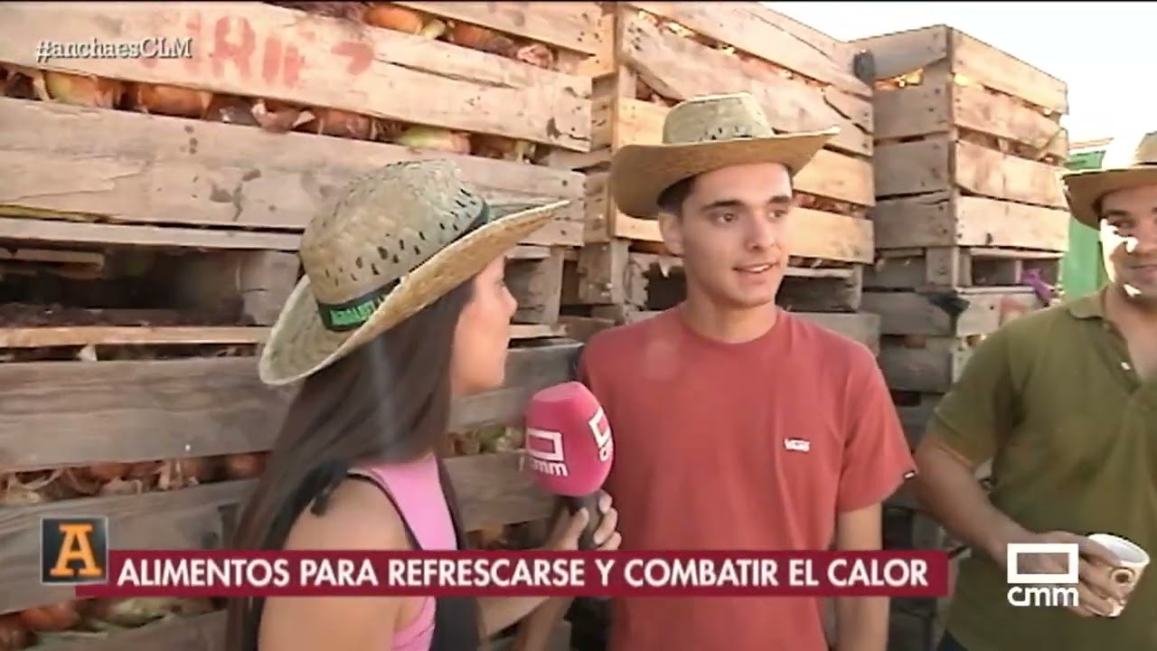 Recogida de cebollas en Daimiel (Ciudad Real) | Ancha es Castilla-La Mancha