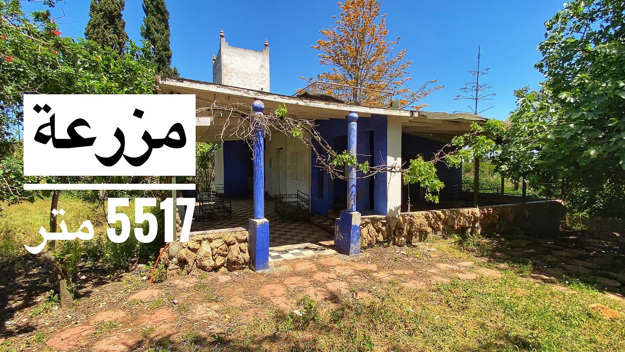 مدينه سلا الجديده تيكنوبولس مزرعه محفظه مساحتها تمن 1000 درهم للمتر 5517 متر 212661247058