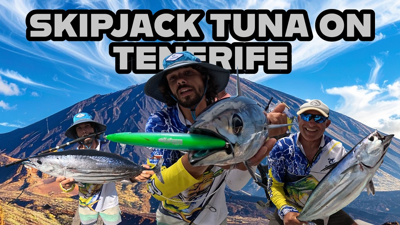 VBLOG:2 TOPWATER ACTION ON TENERIFE