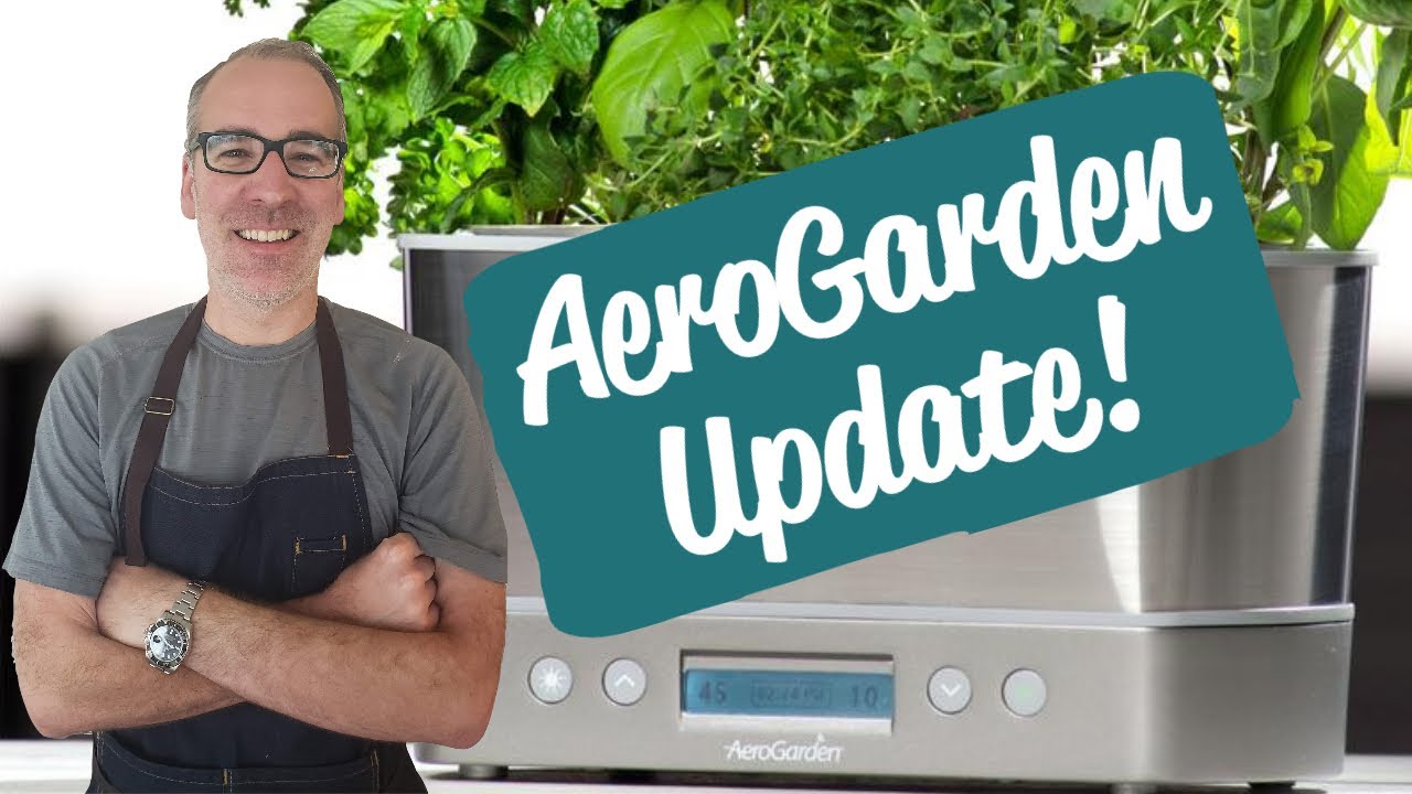 Обзор AeroGarden Harvest Elite | День 27