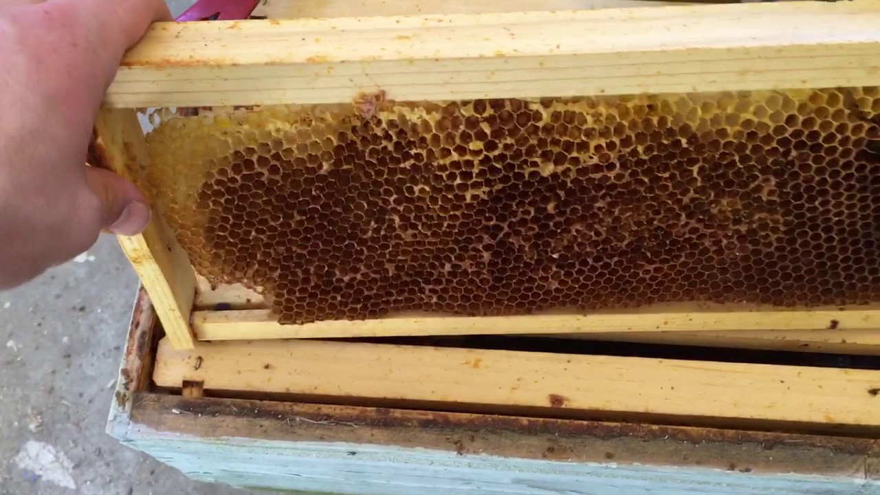 Managing Foundationless Frames