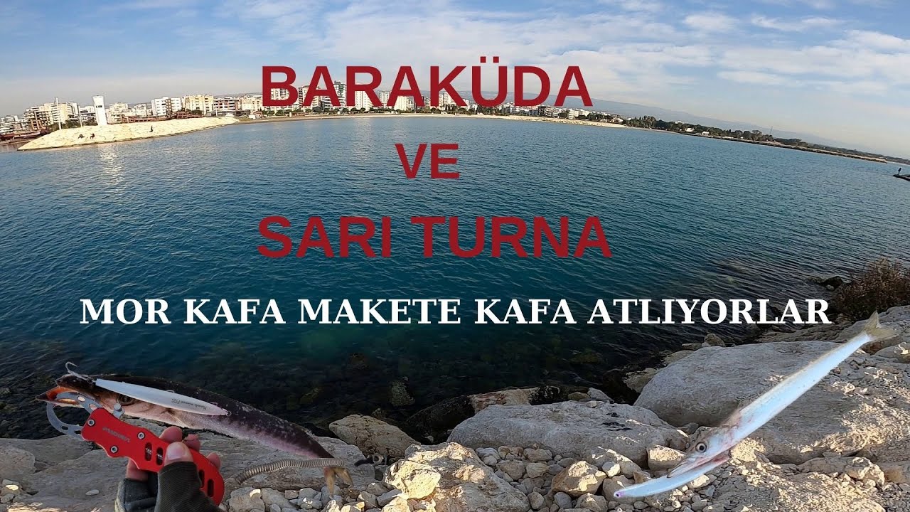 BARAKÜDA VE SARI TURNA AVI !!! MOR KAFA MAKETE DAYANAMIYORLAR !!! VLOG-5