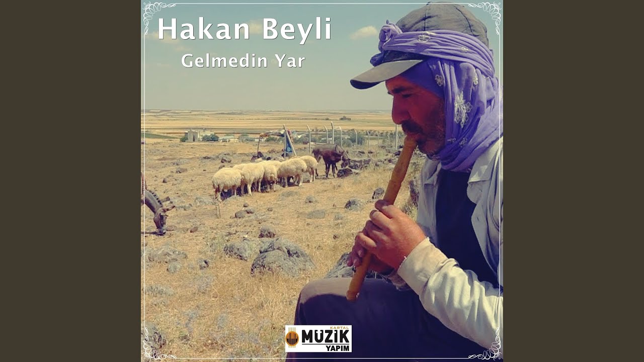 Gelmedin Yar