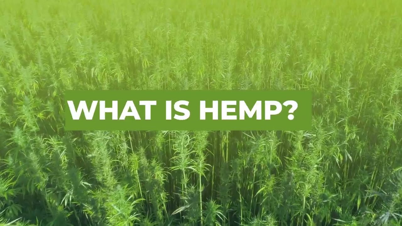 PSA; What is Hemp?