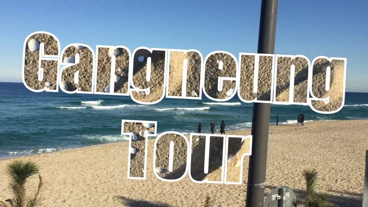 Gangneung tour