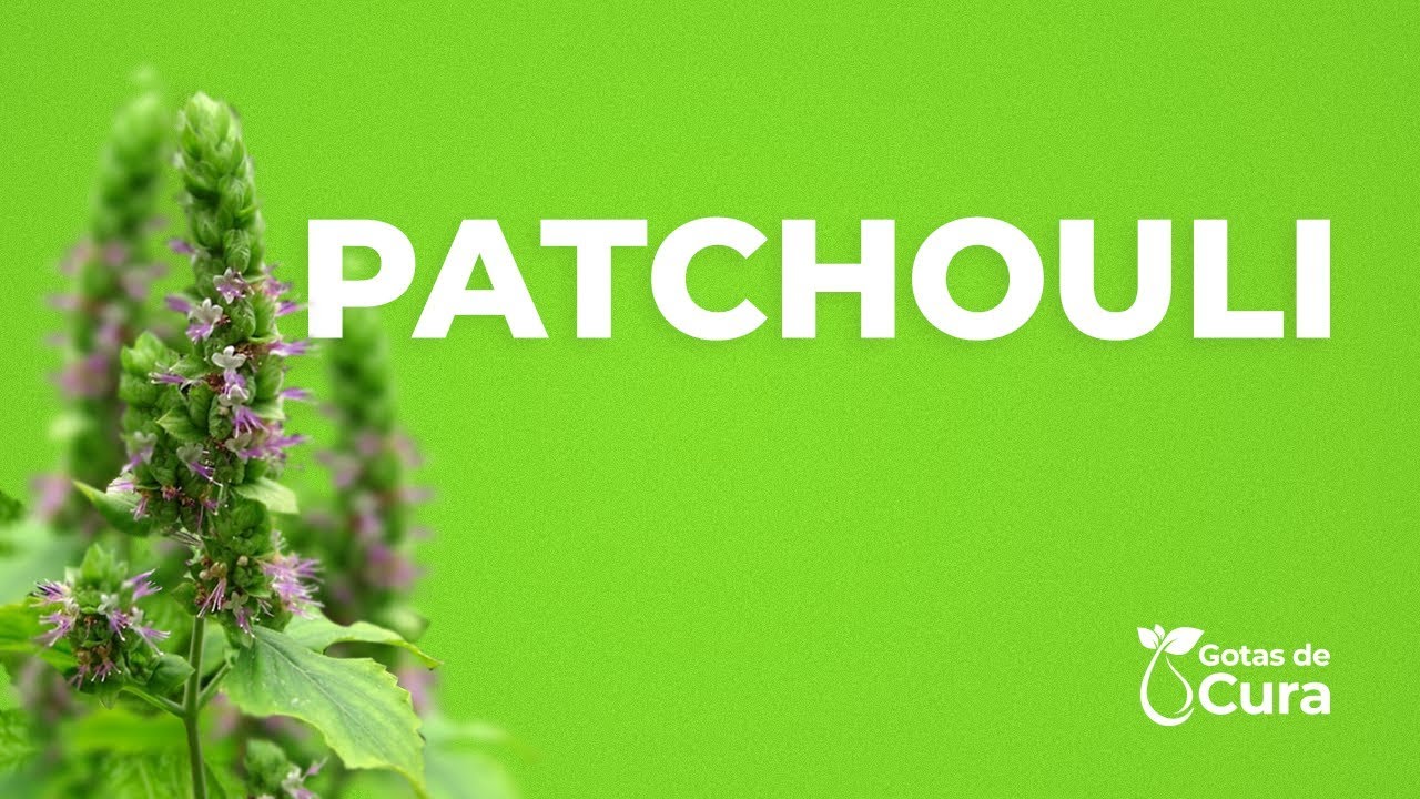 PATCHOULI | ANDR&Eacute; FERRAZ AROMATERAPIA