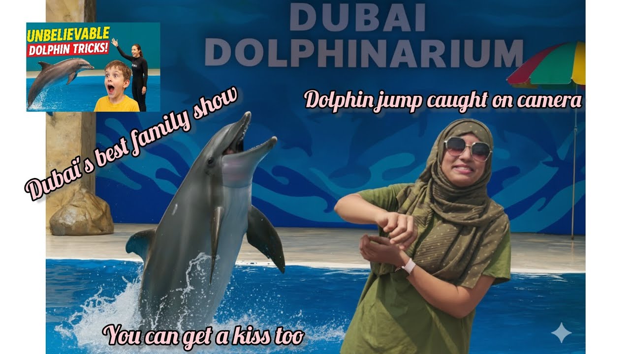 Dubai Dolphinarium Show Hindi vlog | Dolphins के Mind-Blowing Acts Full Performance! Ful entertanmnt