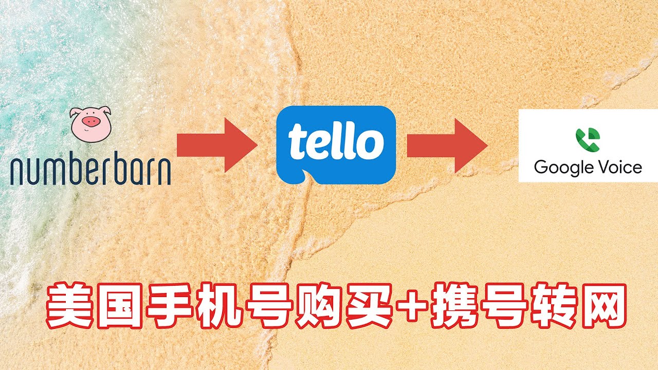 低成本保号！买个美国靓号，携号转网到Google voice永久使用！