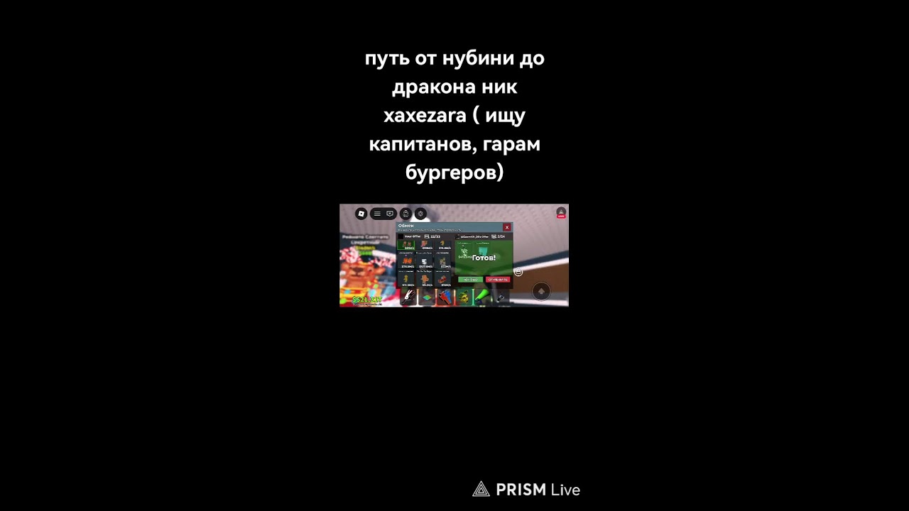 играю в укради брайрот трейды