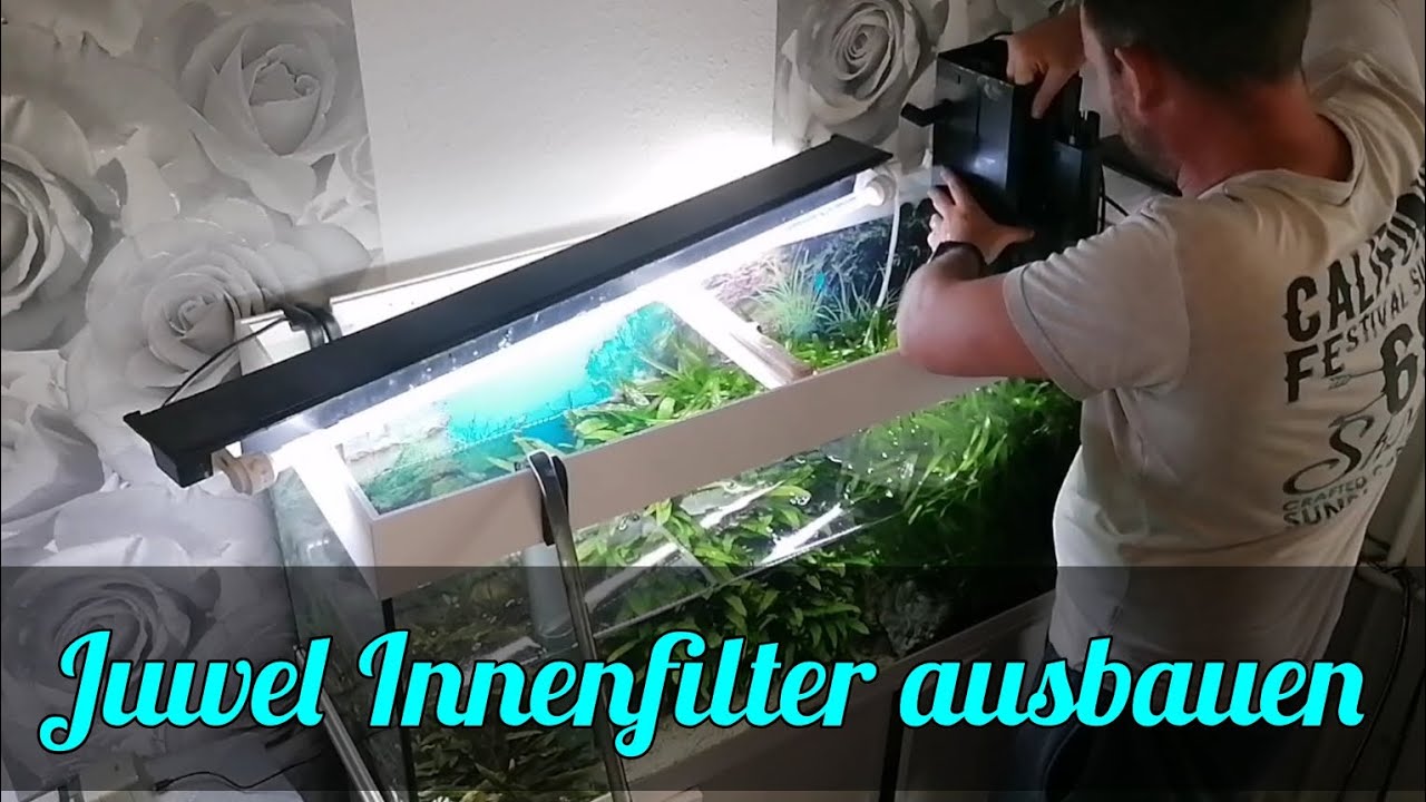 Juwel Aquarium Innenfilter ausbauen.