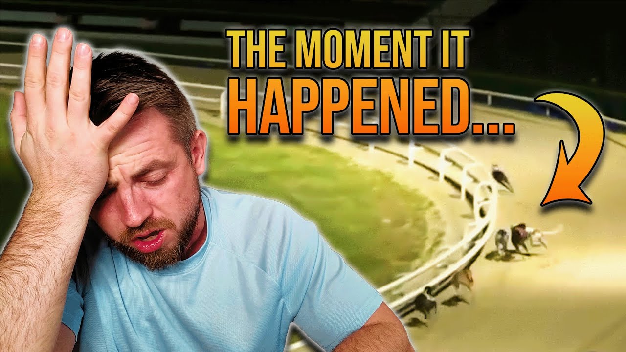 Simply UNBELIEVABLE! Ante-Post, Forecasts and Juicy Odds! | Cesarewitch 2026