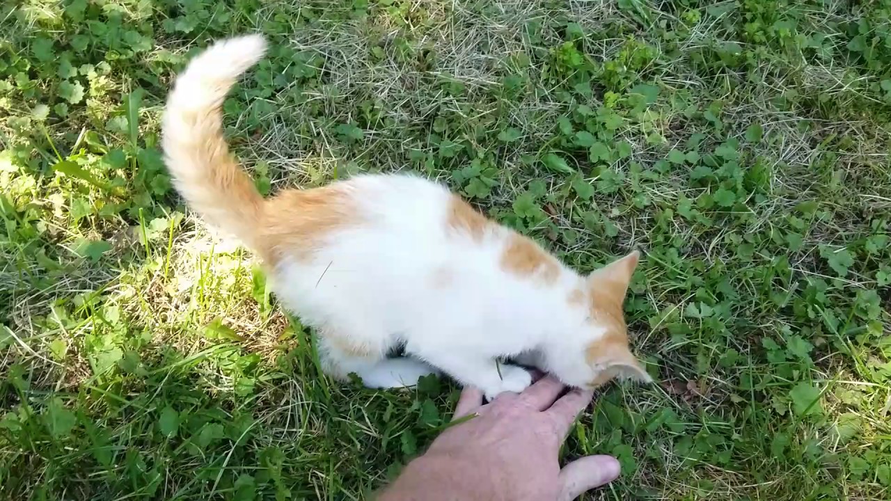 20170706 145829