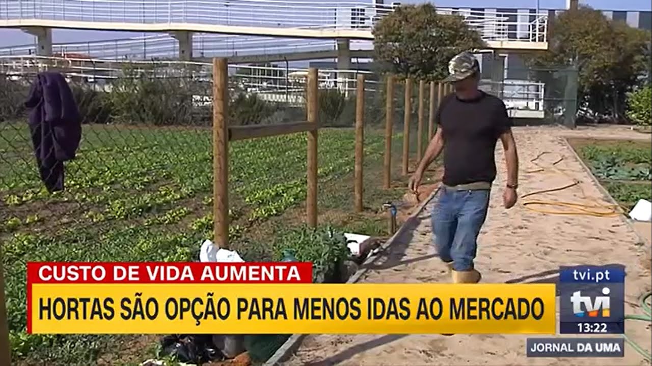 Horta Comunitária de Faro | Reportagem TVI