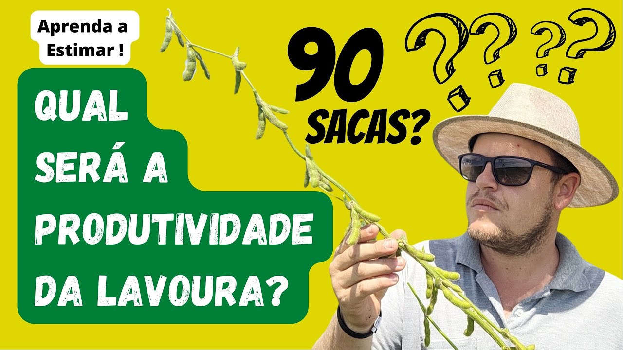 ESTIMATIVA DE PRODUTIVIDADE CULTURA DA SOJA | Aprenda como estimar o potencial com a cultura em R6