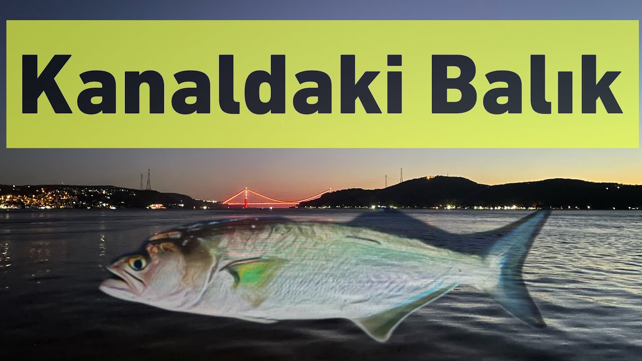Kanaldaki ( Açıktaki ) Balık Nasıl Yakalanır ? Açıkta Olan Balığı Yakalamak için İp Misina Önemi