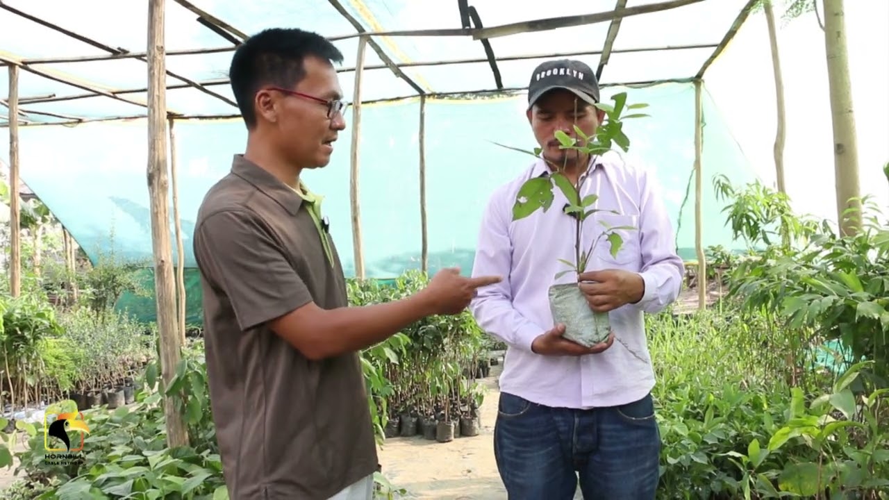 Khut Nasep P Lalbiaklian Proprietor Tungin Nursery