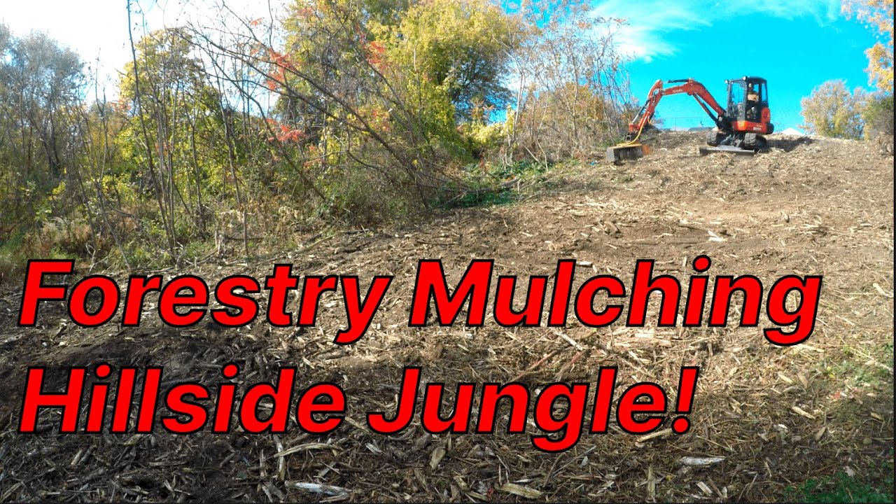 Forestry Mulching Hillside Jungle!