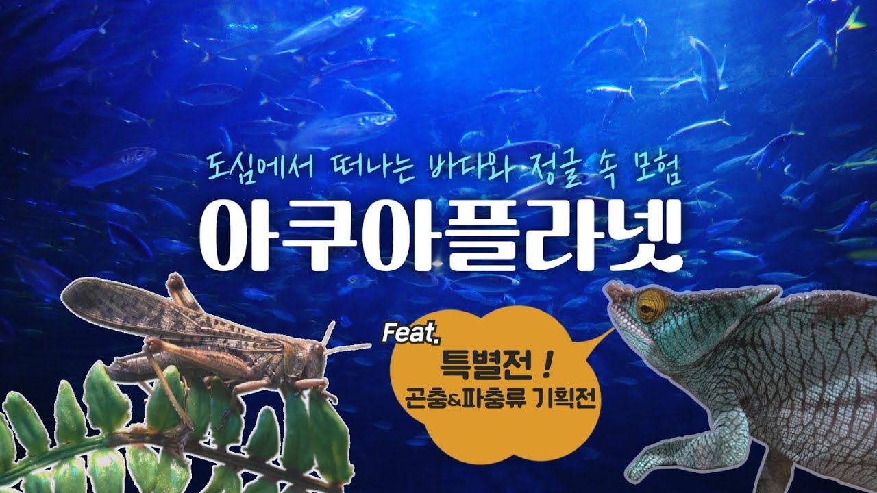 [고양의 멋] 아쿠아플라넷 일산