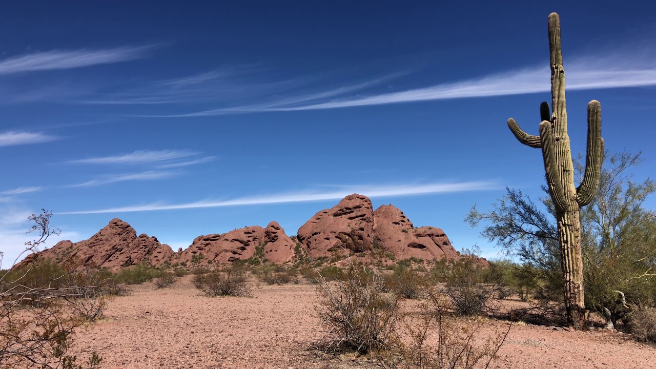 1hr Desert sounds - Nature relax video - soothing desert wind and birds - Study - Sleep - ASMR