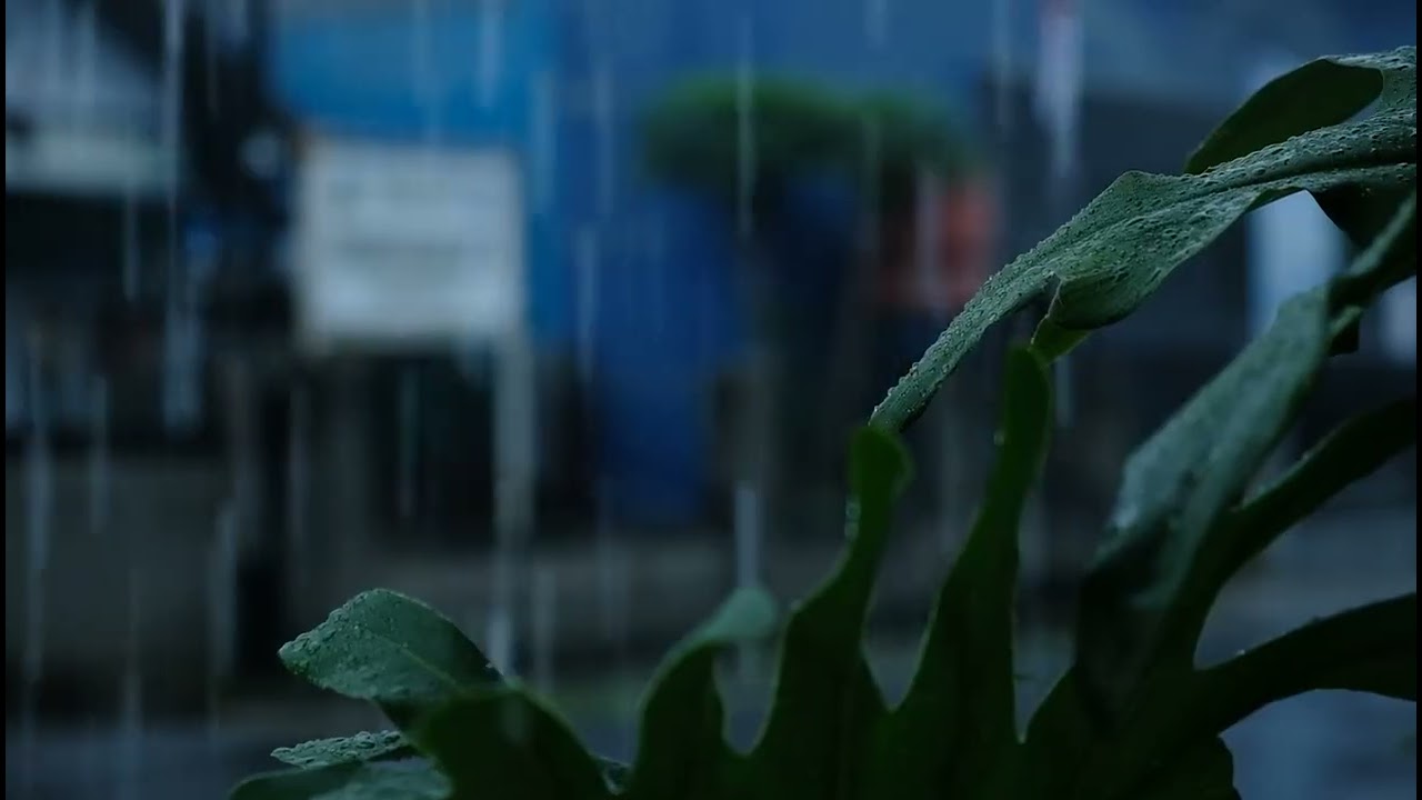 10 Hour🌧️ Gentle Rain ASMR | Deep Calm & Peace
