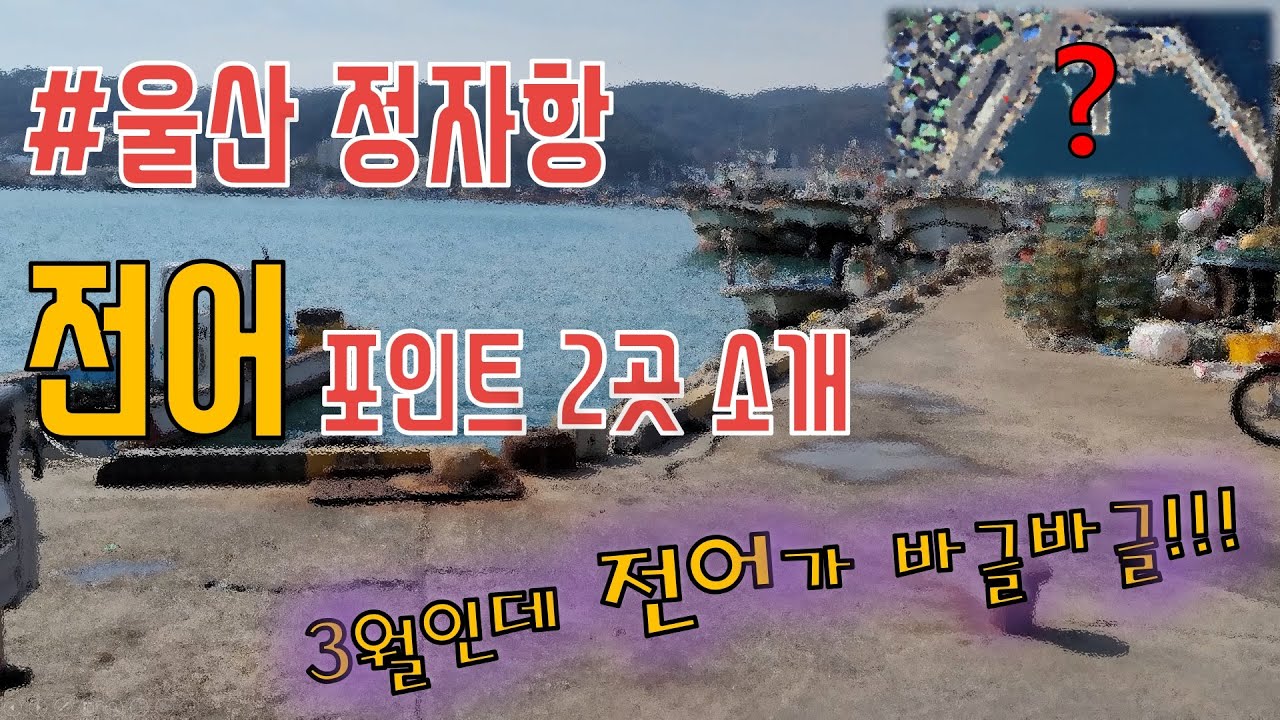 울산 정자항 전어 포인트 2곳! #생활낚시 #전어회 #전어구이