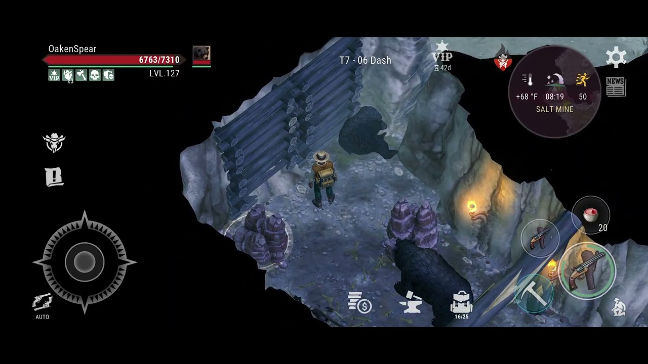 WLS ~ Bug - Pet Stuck in Salt Mine