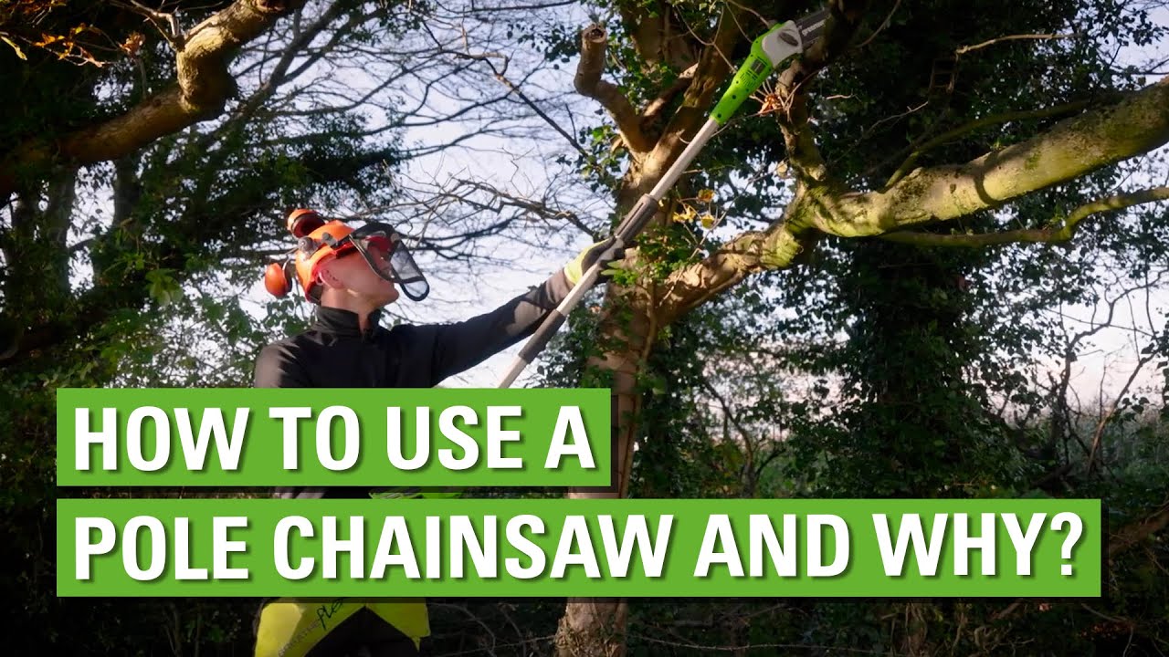 Greenworks Cordless Pole Chainsaw