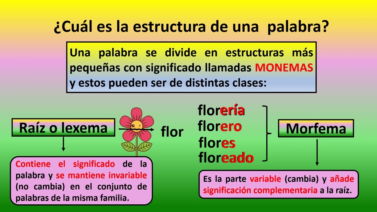 Estructura de las palabras - raíz, prefijos y sufijos