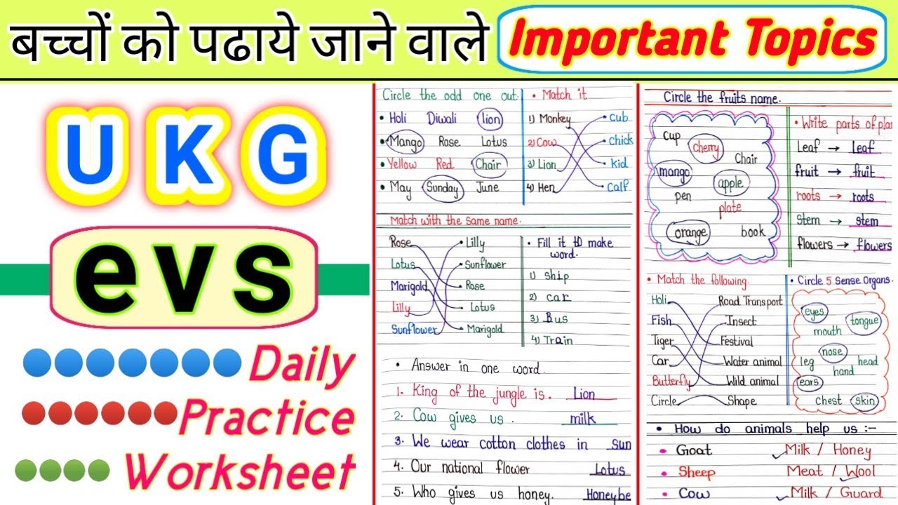 🟢 UKG EVS | UKG EVS Worksheet | EVS Worksheet for UKG | Senior kg