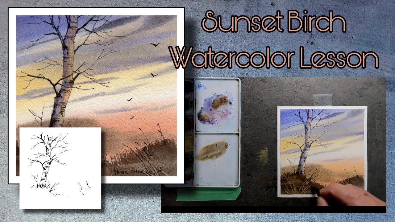 Seriously Simple Sunset Birch Tree in Line and Wash Watercolor. Great for Beginners. Peter Sheeler