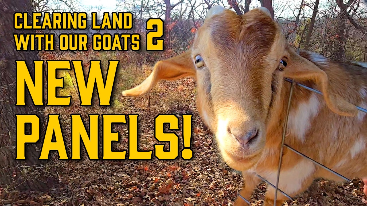 Garden Goat Pen - Part 2 - 2.6.26