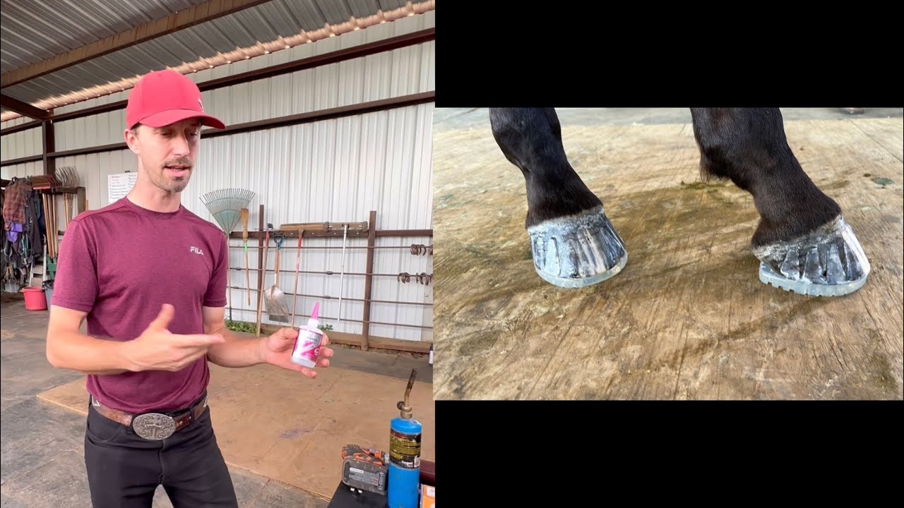 Our Introduction to Versa Grip “Octo” Glue On Shoes