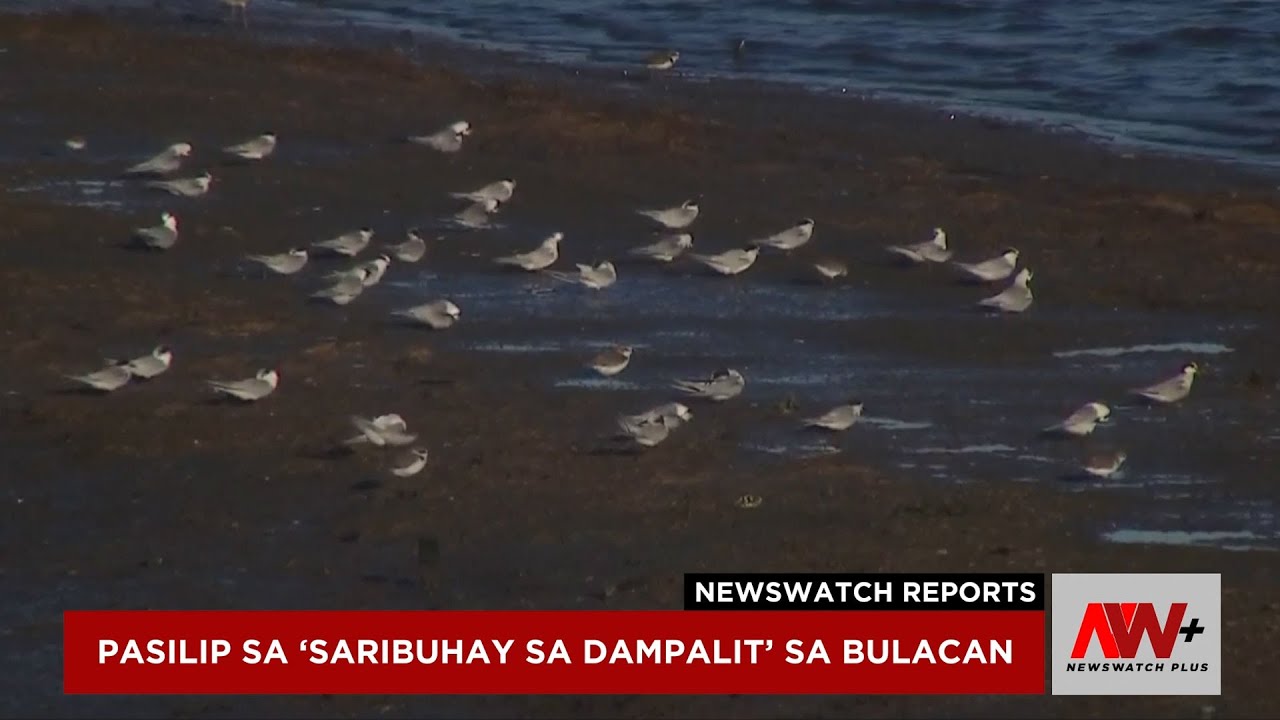 Pasilip sa 'Saribuhay sa Dampalit' sa Bulacan | NewsWatch Reports