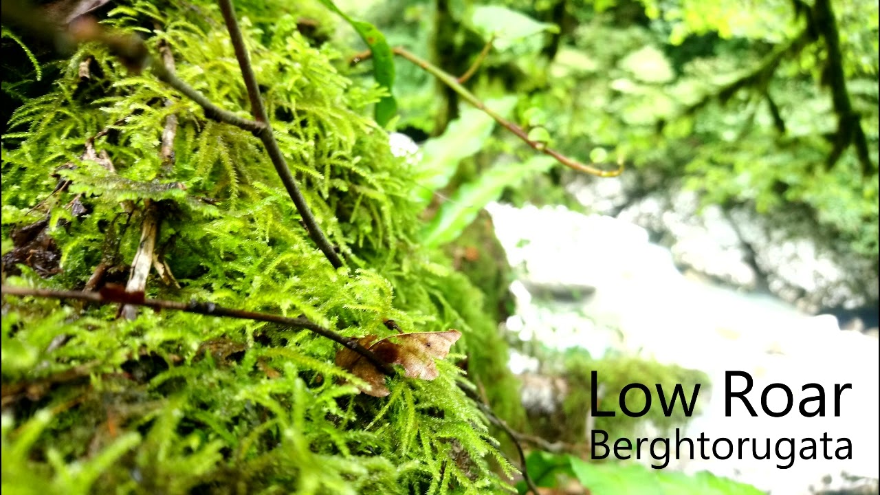 Low Roar - Berghtorugata (unreleased track)