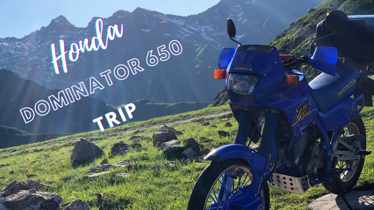 DOMINATOR 650 - TRIP WITH MY LOVE - FORTINI LIMONE