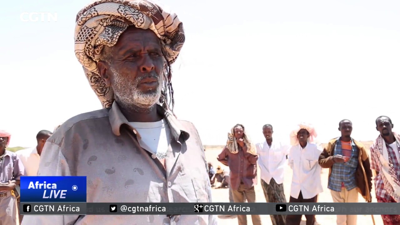 Puntland among regions worst affected by drought