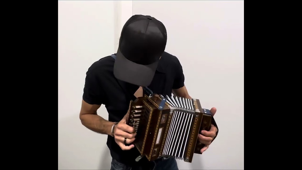 Tarantella calabrese in la# Damiano Bevilacqua #marraraorganetti