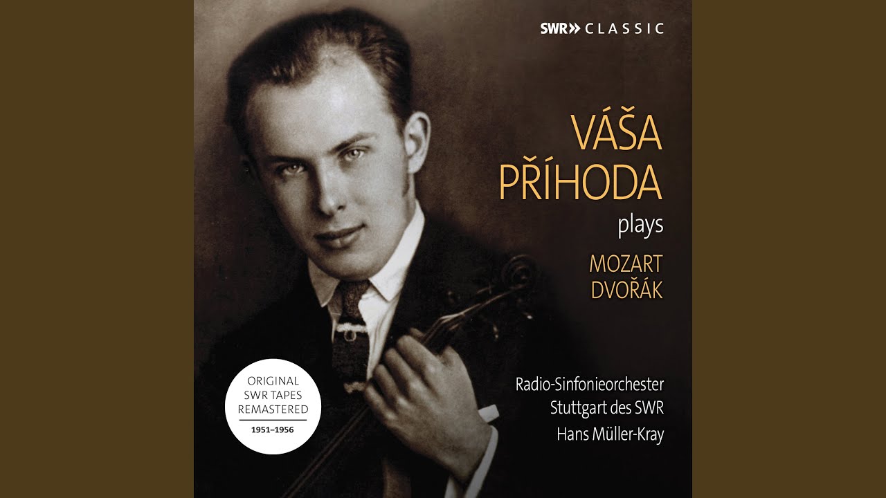 Violin Concerto in A Minor, Op. 53, B. 108: I. Allegro ma non troppo